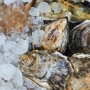 Oyster's on ice